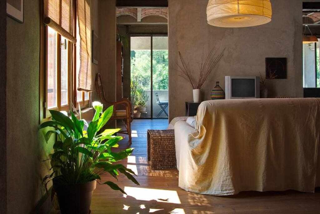 ז'ירונה Sleep & Stay Artistico Loft Sant Daniel מראה חיצוני תמונה